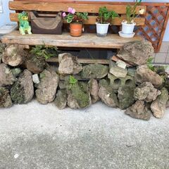 ★庭作り・水槽などに!!・山口県山陰地方の溶岩石・25個・3㎏～20㎏★