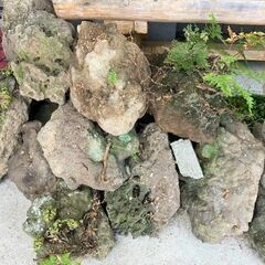 ★庭作り・水槽などに!!・山口県山陰地方の溶岩石・25個・3㎏～20㎏★