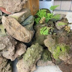 ☆庭作り・水槽などに!!・山口県山陰地方の溶岩石・25個・3