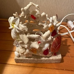珊瑚のランプ
