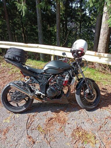 ニンジャ250