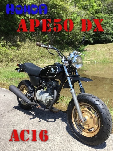 ホンダ　エイプ50 DX  APE50  好調！