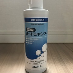 新品　フジタ製薬　薬用ヨードシャンプー250ml【20日までセー...