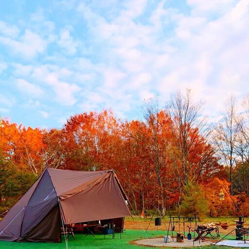 購入 《 キャンプ・アウトドア・テント》オガワタッソ、メッシュ  