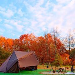 《 キャンプ･アウトドア･テント》オガワタッソ、メッシュスクリーン、自在ポール4本、自作ラック、他set