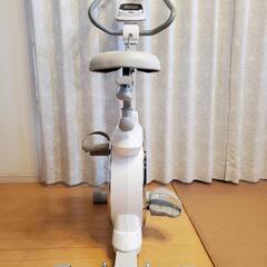 AFB5219 アルインコ　エアロバイク