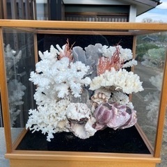 珊瑚の置き物