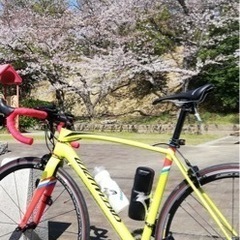 SPECIALIZED allez 2016