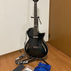 Crafter クラフター SAシリーズ エレアコギター