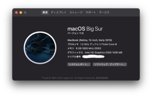 その他 MacBook (Retina, 12-inch, Early 2015)