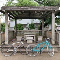 ゆるーい女子会サイクリング仲間募集(^^)
