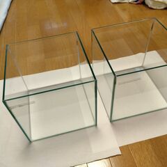 【再値下げ】水槽2個　25 cm キューブ　ガラス蓋、マットつき...