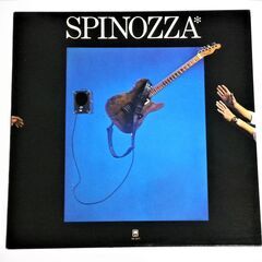 ★ LPレコード ★ オリジナル米盤 ★ DAVID SPINO...