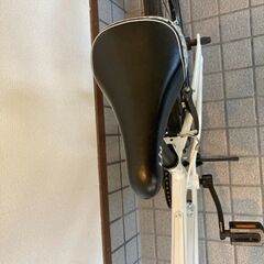 (中古)GIANT Liv ALIGHT 24 2020モデル (雨天時未使用/室内保管) 