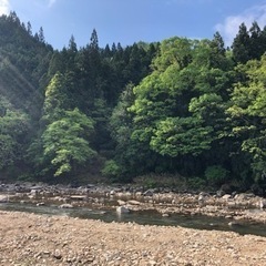 1日1組限定プライベートキャンプ場週末空き有り - その他