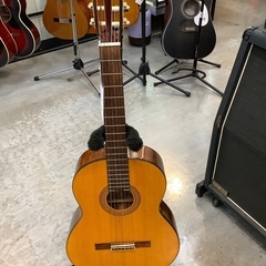 【MORRIS MO-111】クラシックギター販売中！