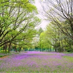 5/21.22、角渕キャンプ場でキャンプしませんか？🌲