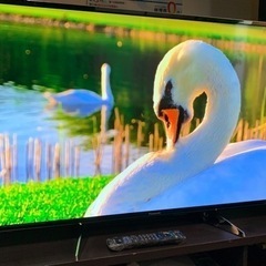 【液晶難あり、リモコン蓋爪折れ】49インチ液晶4Kテレビ Pan...