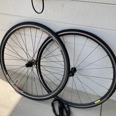 Bianchi スプリント