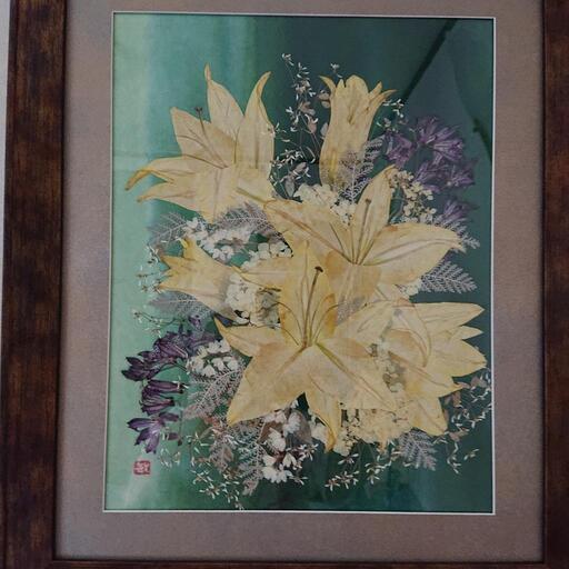 押し花 Asociacionparatodos Org