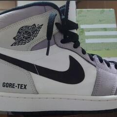 ナイキエアジョーダン1ゴアテックスセイル