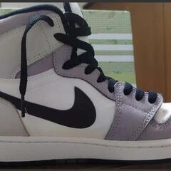 ナイキエアジョーダン1ゴアテックスセイル