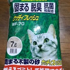 【５月１９日まで限定】猫砂　⭐️未使用⭐️