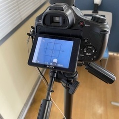 写真屋さんセット　一式