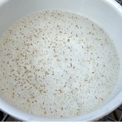 オオミジンコ4g メダカや金魚の餌に ヤマザキパン 八日市場のその他の中古あげます 譲ります ジモティーで不用品の処分