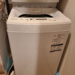 TOSHIBA 洗濯機 2019年製