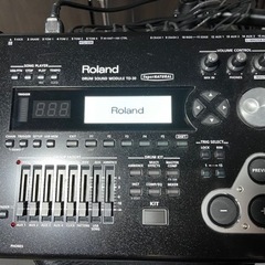 Roland V-Drums TD-30 電子ドラムセット+スローン+防音マット+バス用新品メッシュヘッド+その他アクセサリ類