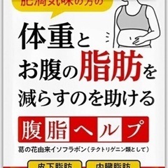 【ネット決済・配送可】【新品・未開封】腹脂ヘルプ 葛の花由来イソ...