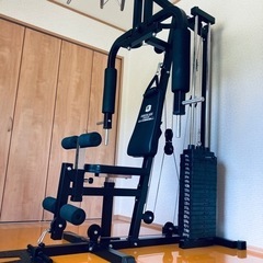 ホームジムDX 100 ファイティングロード