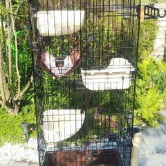 キャットサークル