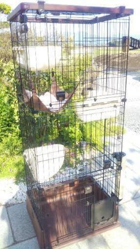 OUTLET 包装 即日発送 代引無料 アイラブpeps キャットサークル