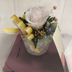 ドライフラワー　薔薇　美品