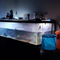 120×60×40 水槽