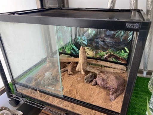 ※受付中【大人気】爬虫類　ゲージ
