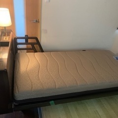 フランスベッド　France Bed GX-04C 2モータータイプ