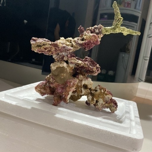 ✨海水用 アクアリウム ライブロック レプリカ 約2kg