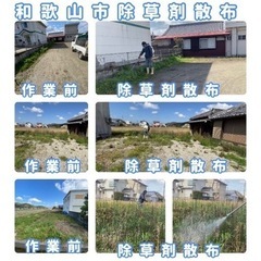 雑草などの除草作業お任せください - 和歌山市