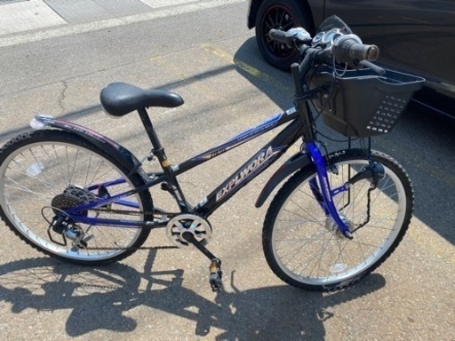 子とも用自転車