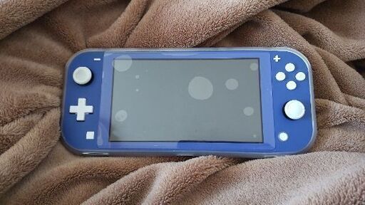 値下げ致しました。Switchライト本体中古ほとんど未使用