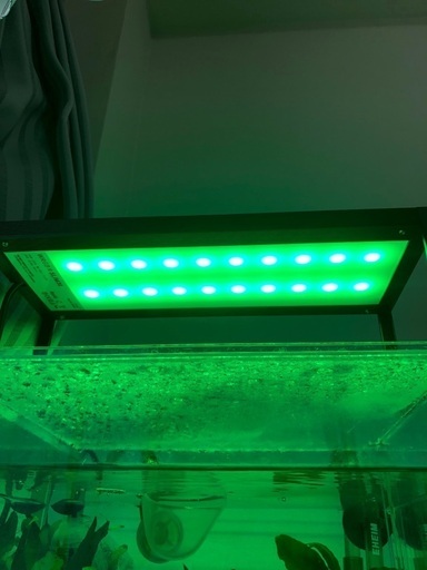 chihiros WRGB II SLIM 30 水槽 水草 LED ライト