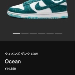 NIKE DUNK LOW OCEAN オーシャン　24.5cm