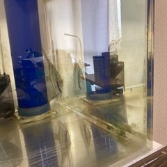 更新】150センチオーバーフロー水槽