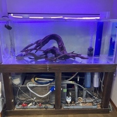 更新】150センチオーバーフロー水槽
