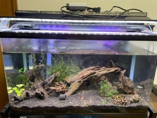 取引先決定しました Gex 60cm 水槽セット 流木水草5 28まで掲載 T Kumi 静岡のその他の中古あげます 譲ります ジモティーで不用品の処分