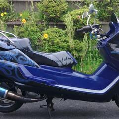 マジェスティ250　(1646)