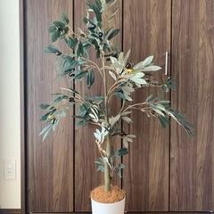 観葉植物 オリーブ フェイク 120cm